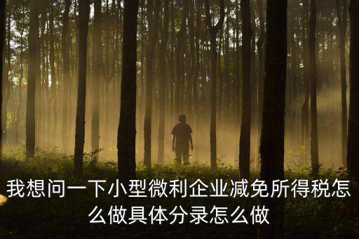 小微企業(yè)所得稅如何減免，我想問一下小型微利企業(yè)減免所得稅怎么做具體分錄怎么做