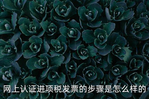 網(wǎng)上認(rèn)證進(jìn)項(xiàng)稅發(fā)票的步驟是怎么樣的