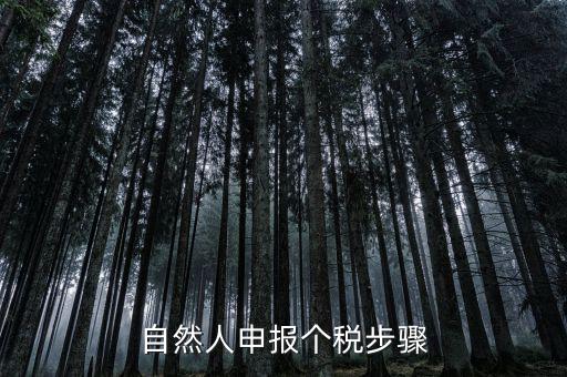 自然人稅收如何申報(bào)表，自然人申報(bào)個(gè)稅步驟
