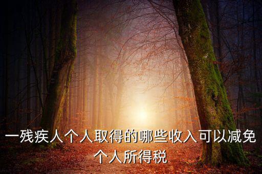 殘疾人減免個(gè)稅如何做賬，有殘疾人免稅證明在個(gè)人所得稅申報(bào)系統(tǒng)中如何填寫急