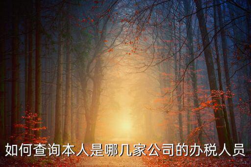 如何查詢企業(yè)辦稅人信息，怎么查詢單位登記稅務(wù)經(jīng)辦人