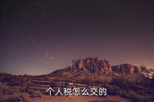 自然人如何繳納個(gè)稅，個(gè)人稅怎么交的