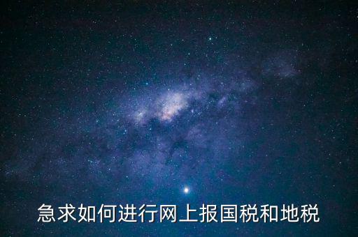 急求如何進行網上報國稅和地稅