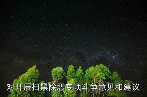 對開展掃黑除惡專項(xiàng)斗爭意見和建議
