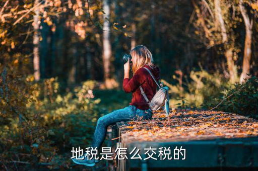 吉林市地稅如何收取，國(guó)地稅怎么收