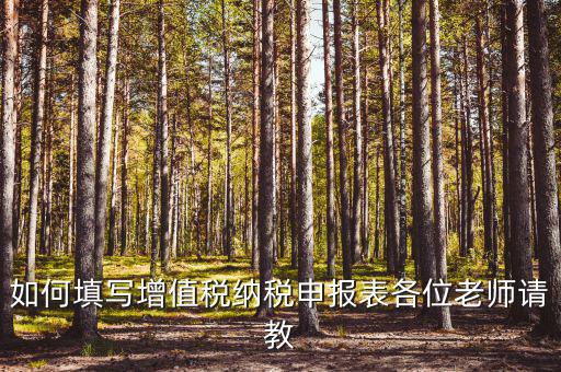 增值稅納稅申報表如何填報，增值稅申報表如何填寫