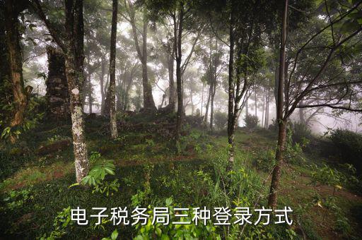 遼寧省網(wǎng)上稅務(wù)局如何登錄，可以用手機(jī)登陸遼寧省電子稅務(wù)局嗎