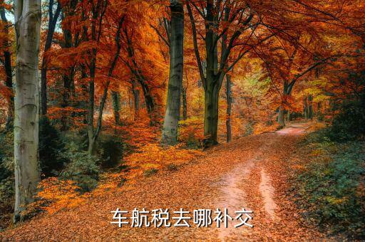 如何補(bǔ)繳車(chē)船稅，車(chē)航稅去哪補(bǔ)交