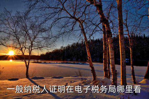 電子稅務(wù)局如何查詢稅務(wù)登記證，一般納稅人證明在電子稅務(wù)局哪里看