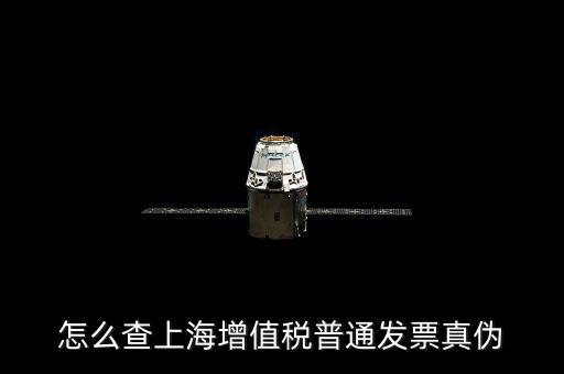 上海增值稅普通發(fā)票如何查詢真?zhèn)尾樵?，上海的增值稅在哪里查詢真?zhèn)?/></a></span><span id=