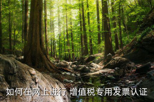 增值稅專用票如何在網(wǎng)上申請，購買增值稅專用發(fā)票要先在網(wǎng)上怎么操作