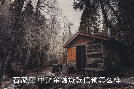 中財支付怎么樣,民付通是中財今日運營的大消費聯盟