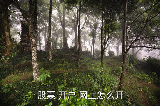 網(wǎng)上怎么股票開(kāi)戶,證券交易所網(wǎng)上開(kāi)戶步驟如下