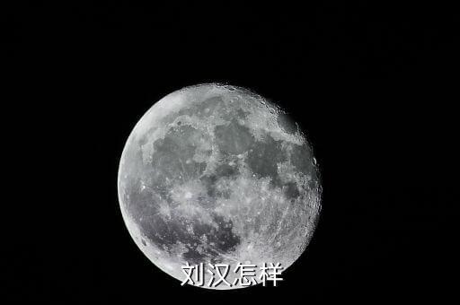 劉漢資產(chǎn)怎么處理,劉漢，四川漢龍集團(tuán)原董事長