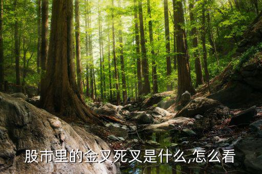 炒股怎么看金叉和死叉,技術(shù)指標交叉的意義有待提高