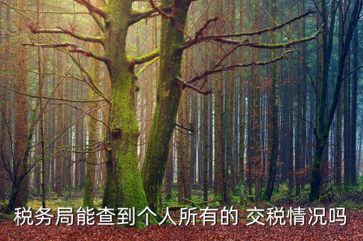 個(gè)人工資交稅怎么查詢,個(gè)人所得稅不能查詢工資明細(xì)