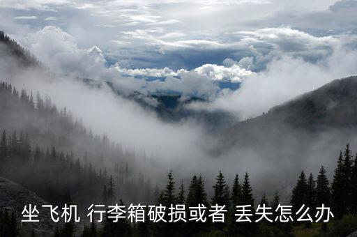 旅客丟失行李怎么辦理,旅客行李若有問題應(yīng)立即咨詢機(jī)場咨詢臺(tái)