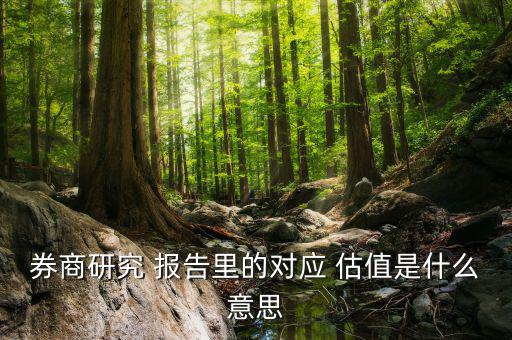 股票估值報(bào)告怎么寫,a股市場用市盈率評(píng)價(jià)股票是否低估