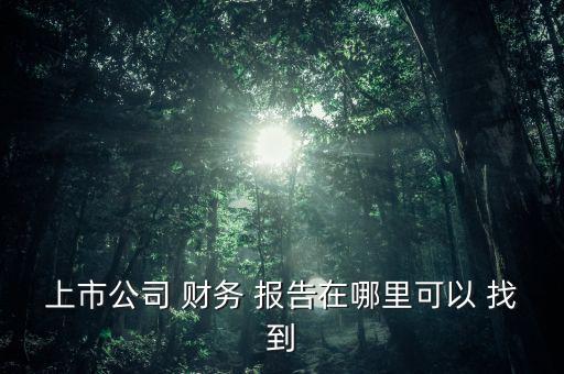 上市公司 財務 報告在哪里可以 找到