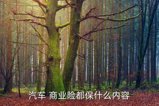 商業(yè)險(xiǎn)怎么保,買(mǎi)汽車(chē)保險(xiǎn)注意事項(xiàng)