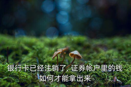 東興證券網(wǎng)上開(kāi)戶(hù)后怎么銷(xiāo)戶(hù),東興證券開(kāi)戶(hù)后如何登錄?