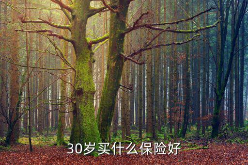 穩(wěn)賺1號(hào)怎么購(gòu)買(mǎi),家庭買(mǎi)保險(xiǎn)遵循兩原則