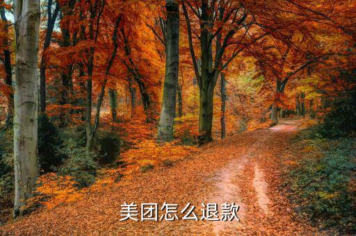 當(dāng)天定的美團怎么退,如何退回美團優(yōu)惠券?點擊這里查看原因