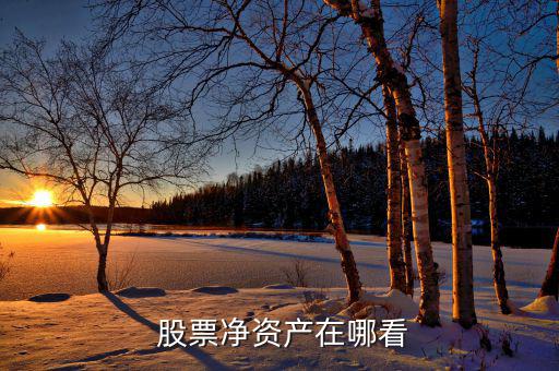 股票凈資產在哪看