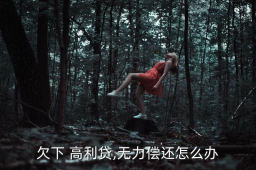 合肥欠高利貸怎么辦,高利貸被禁貸款利率不得違反國(guó)家有關(guān)規(guī)定