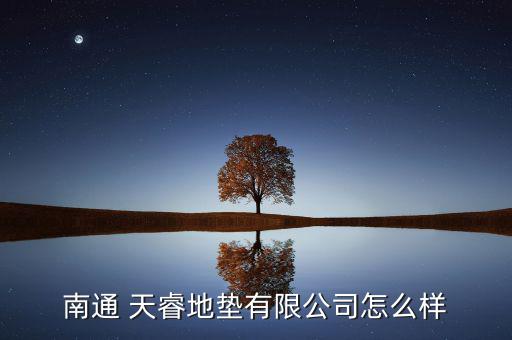 天?？臻g怎么樣,南通天睿電子有限公司注冊(cè)成立