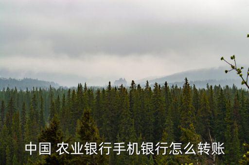 中國 農(nóng)業(yè)銀行手機銀行怎么轉(zhuǎn)賬
