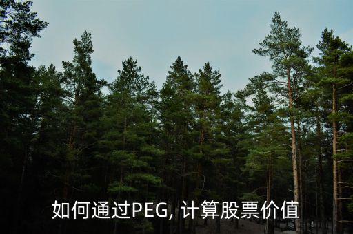 如何通過PEG, 計(jì)算股票價值