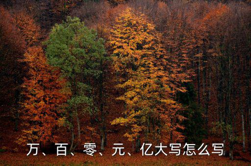 萬、百、零、元、億大寫怎么寫