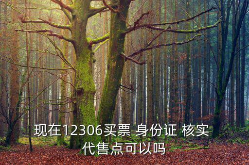 現(xiàn)在12306買(mǎi)票 身份證 核實(shí) 代售點(diǎn)可以嗎