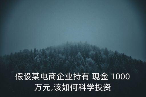 假設(shè)某電商企業(yè)持有 現(xiàn)金 1000萬元,該如何科學投資