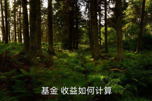 基金轉(zhuǎn)換收益怎么算,轉(zhuǎn)換申請(qǐng)中的兩個(gè)基金必須滿足以下條件