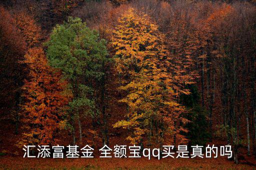 匯添富基金 全額寶qq買(mǎi)是真的嗎