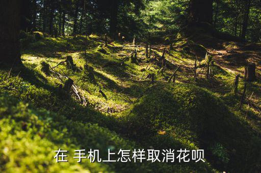 在 手機上怎樣取消花唄