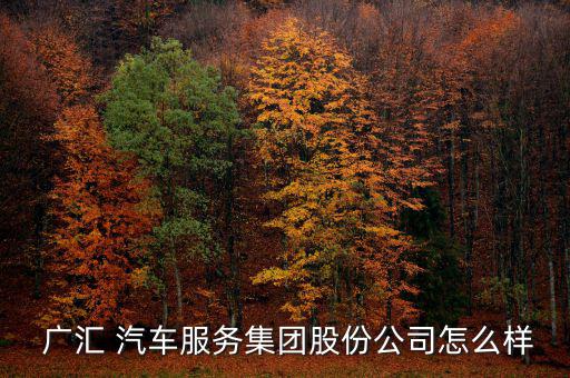 廣匯汽車怎么樣,廣匯汽車商譽(yù)來自于溢價收購4s門店