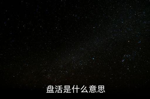  盤(pán)活是什么意思