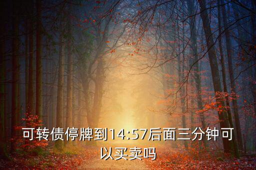 海印配債是怎么回事,《企業(yè)會計準則》第12號債務重組