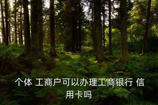 個(gè)體工商戶(hù)的員工怎么辦信用卡嗎,個(gè)體戶(hù)辦信用卡容易嗎?