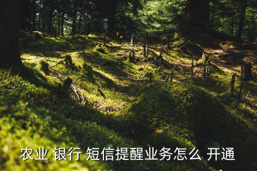 農(nóng)行短信銀行怎么開通,銀行card短信業(yè)務提醒開通三步驟!