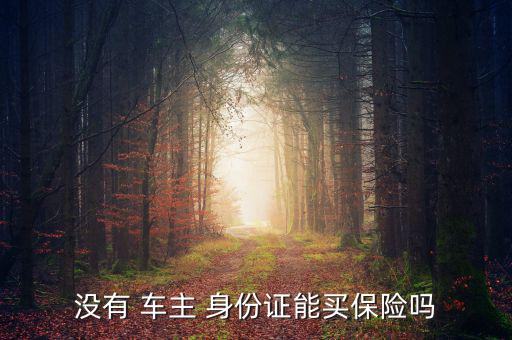 沒(méi)有原車(chē)主的身份證怎么買(mǎi)保險(xiǎn),沒(méi)有車(chē)主身份證不能買(mǎi)車(chē)險(xiǎn)