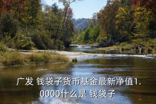  廣發(fā) 錢(qián)袋子貨幣基金最新凈值1.0000什么是 錢(qián)袋子