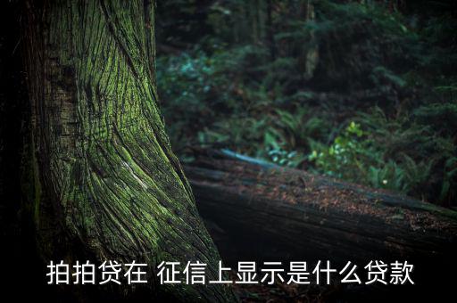  拍拍貸在 征信上顯示是什么貸款