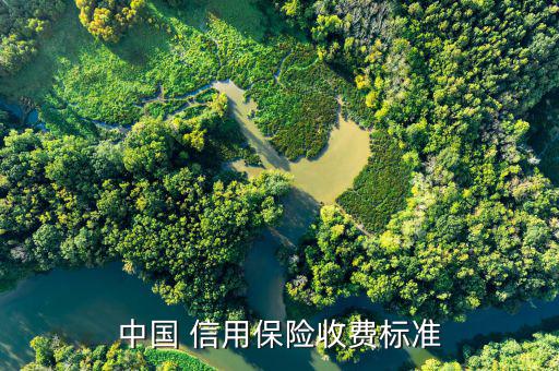 車(chē)貸信用保險(xiǎn)費(fèi)怎么收的,房貸手續(xù)費(fèi)貸款利息有收費(fèi)