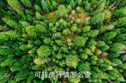 債券傭金怎么查,證券投資官網查詢方式（一）