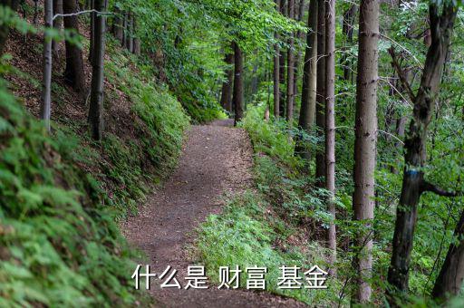 百度財(cái)富基金怎么樣,如何在百度財(cái)富購(gòu)買理財(cái)產(chǎn)品?