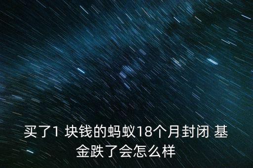 買了1 塊錢的螞蟻18個(gè)月封閉 基金跌了會怎么樣